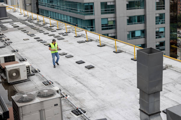 Best Solar Panel Roofing Installation  in Oreana, IL