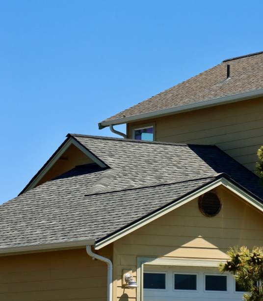 Best Skylight Installation and Repair  in Oreana, IL